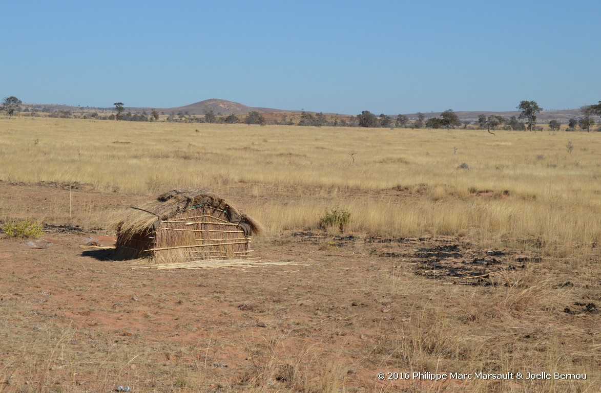 /ecran/Madagascar_2016_0867.jpg