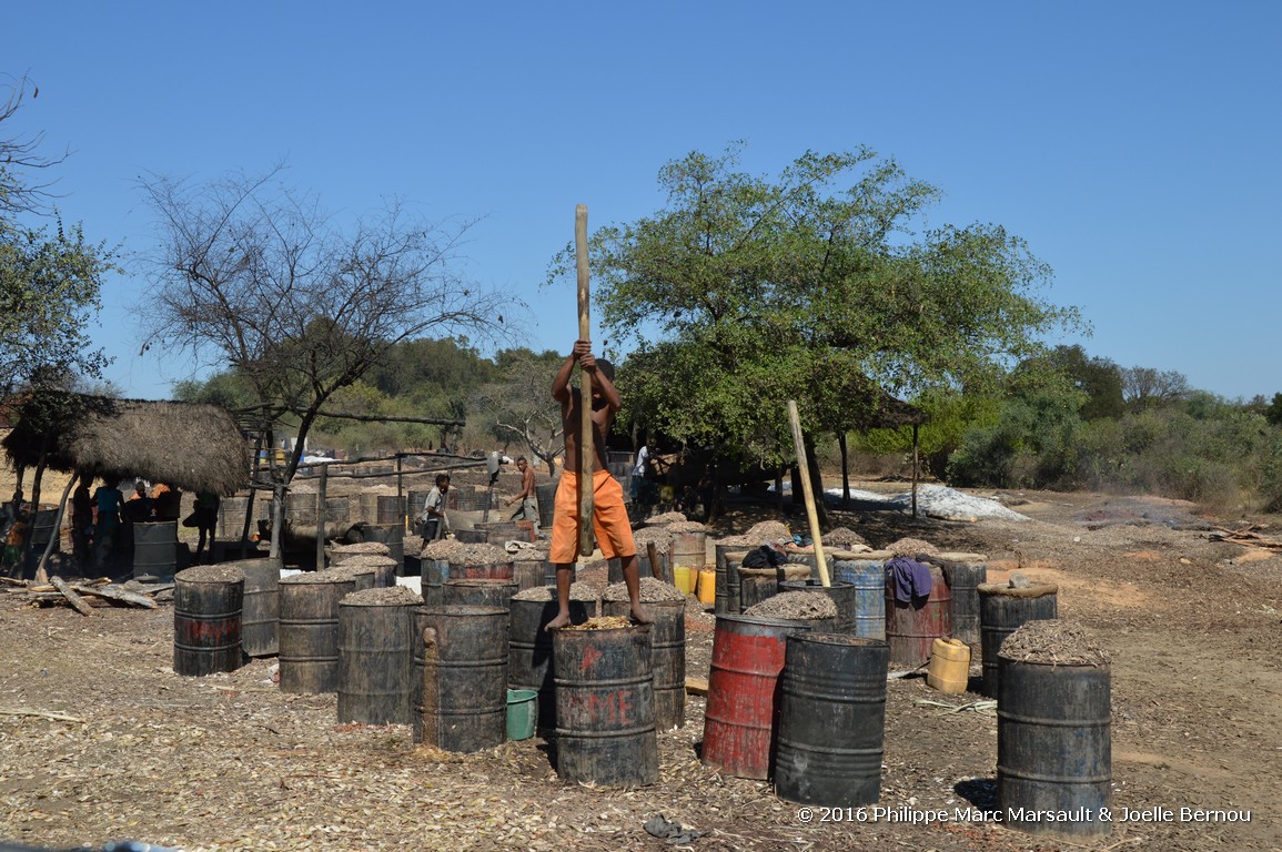 /ecran/Madagascar_2016_0891.jpg