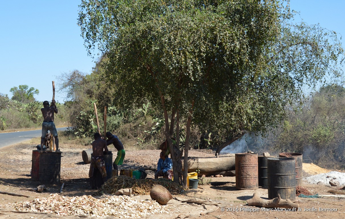 /ecran/Madagascar_2016_0897.jpg