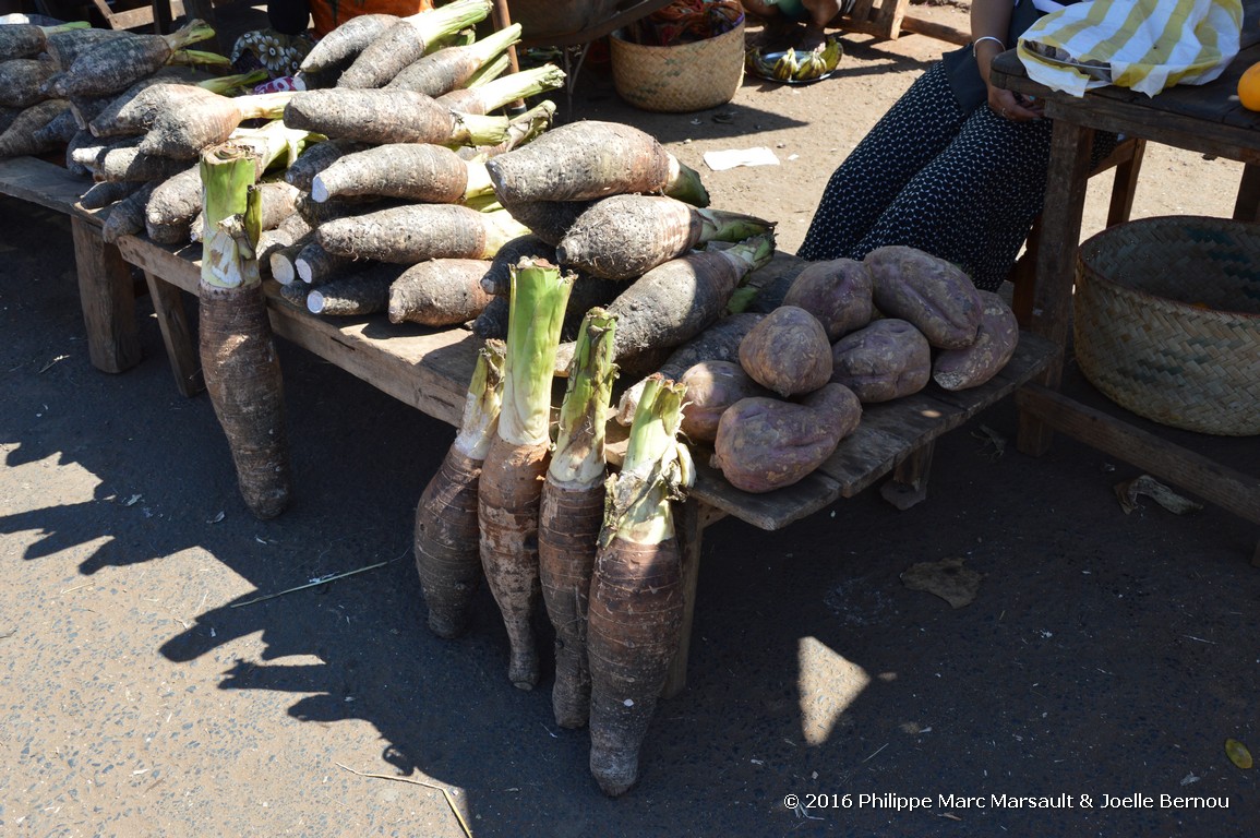 /ecran/Madagascar_2016_0901.jpg