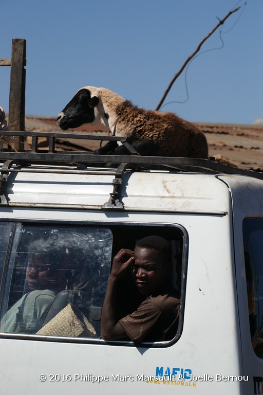 /ecran/Madagascar_2016_0903.jpg