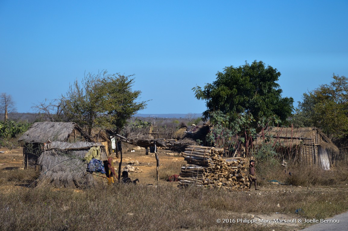 /ecran/Madagascar_2016_0915.jpg