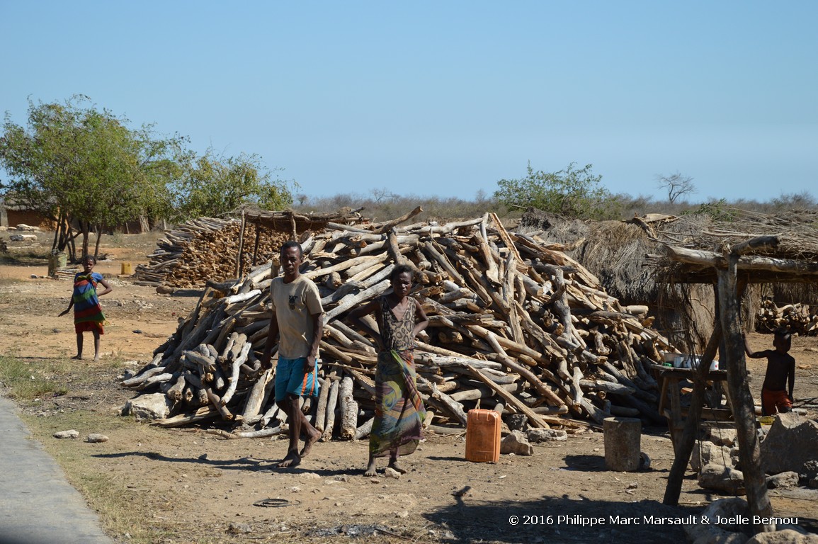 /ecran/Madagascar_2016_0916.jpg