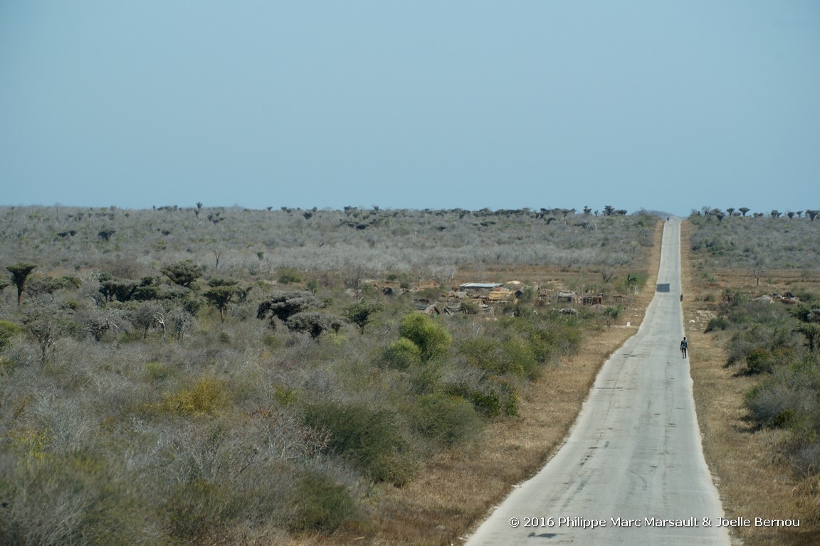 /ecran/Madagascar_2016_0917.jpg