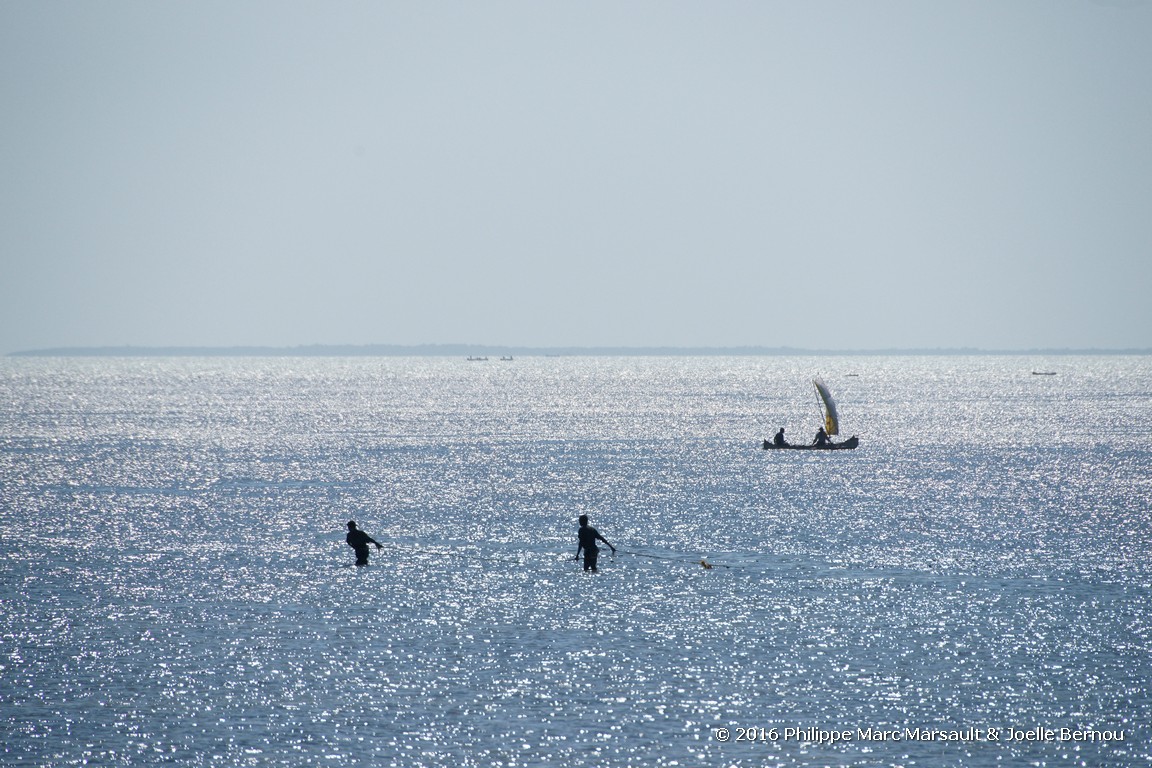 /ecran/Madagascar_2016_0967.jpg