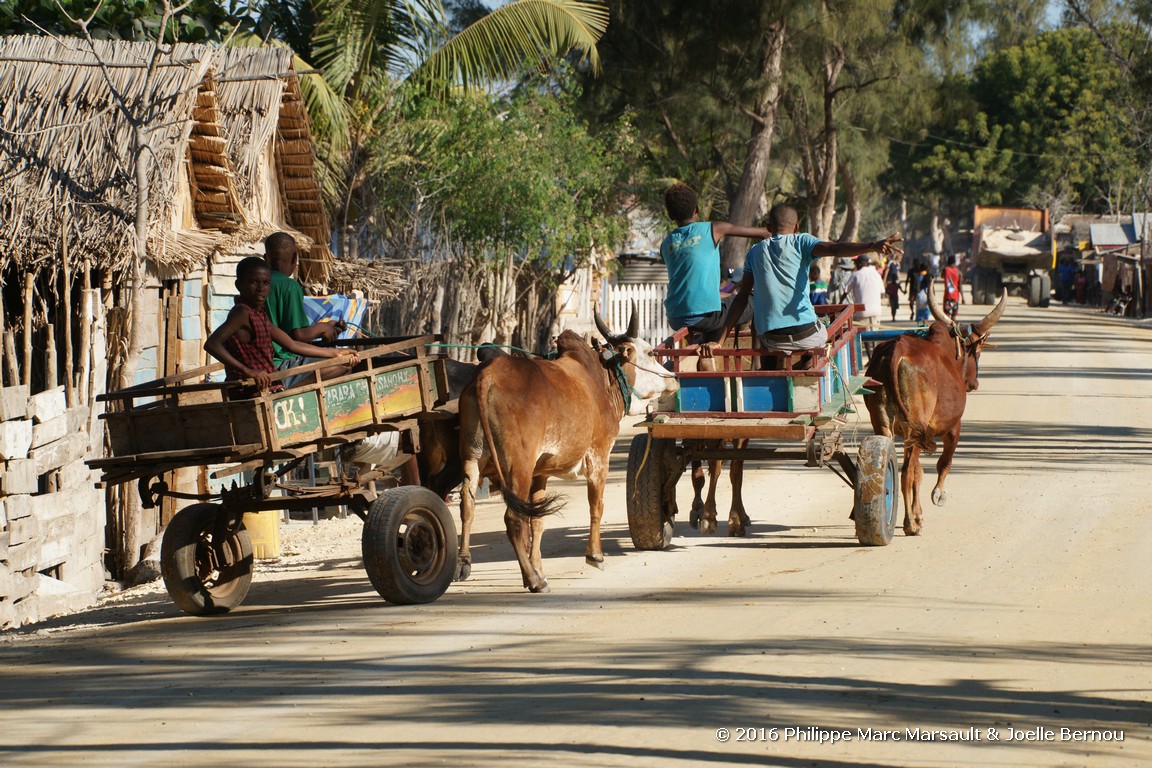 /ecran/Madagascar_2016_0980.jpg