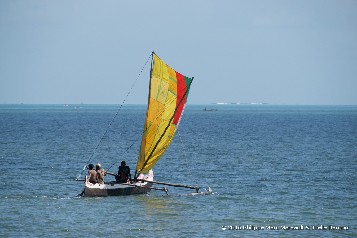 /ecran/Madagascar_2016_1043.jpg