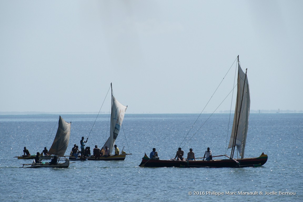 /ecran/Madagascar_2016_1046.jpg