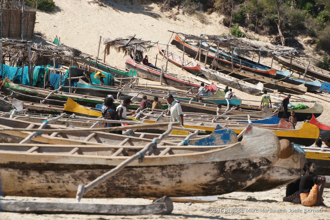 /ecran/Madagascar_2016_1173.jpg