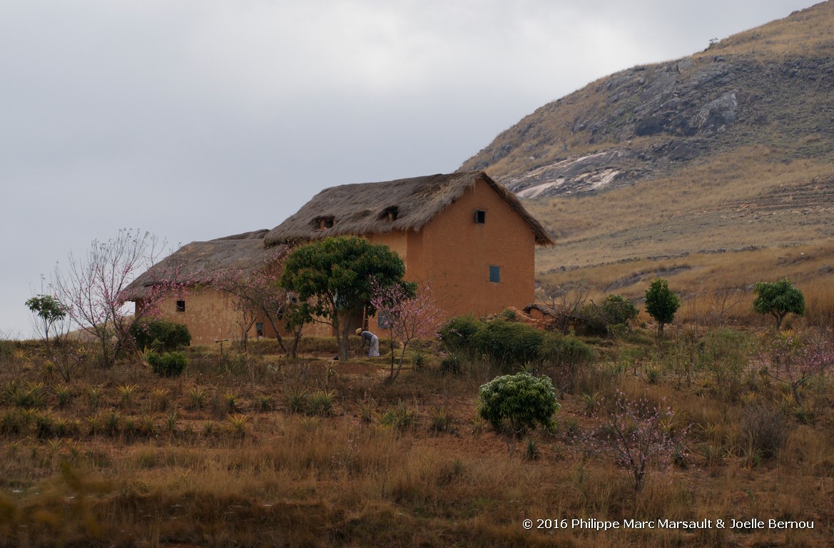 /ecran/Madagascar_2016_1274.jpg