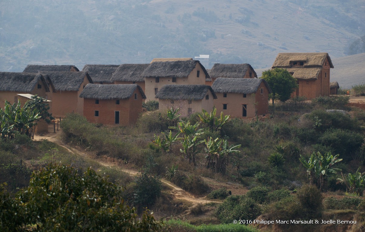 /ecran/Madagascar_2016_1281.jpg