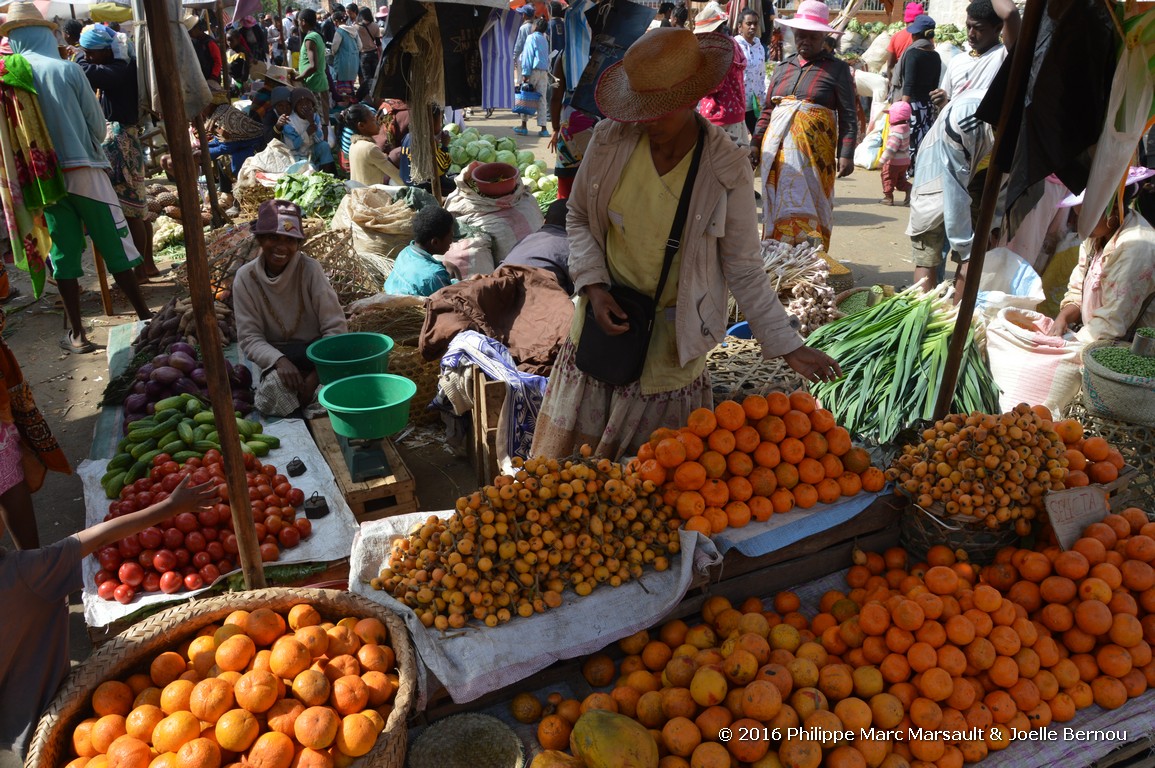 /ecran/Madagascar_2016_1288.jpg