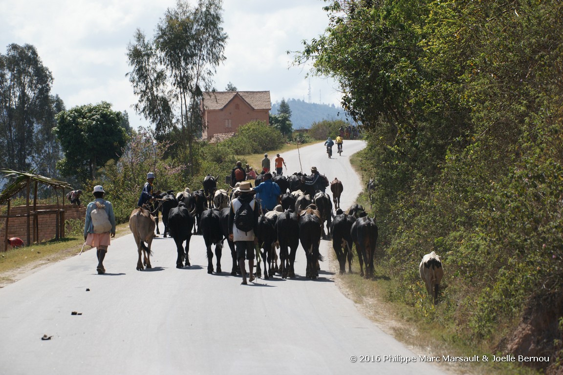 /ecran/Madagascar_2016_1307.jpg