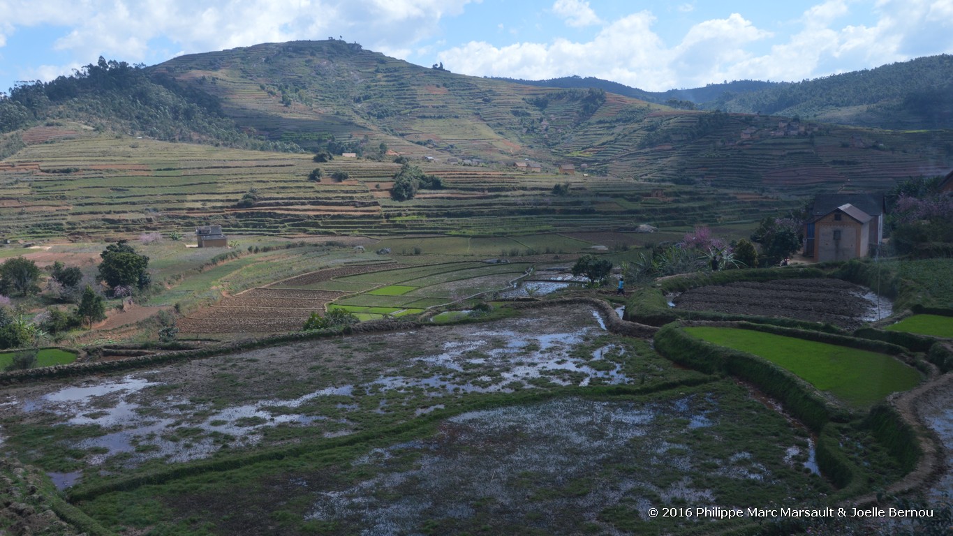 /ecran/Madagascar_2016_1320.jpg