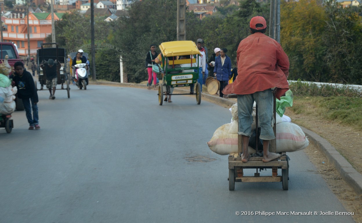 /ecran/Madagascar_2016_1329.jpg