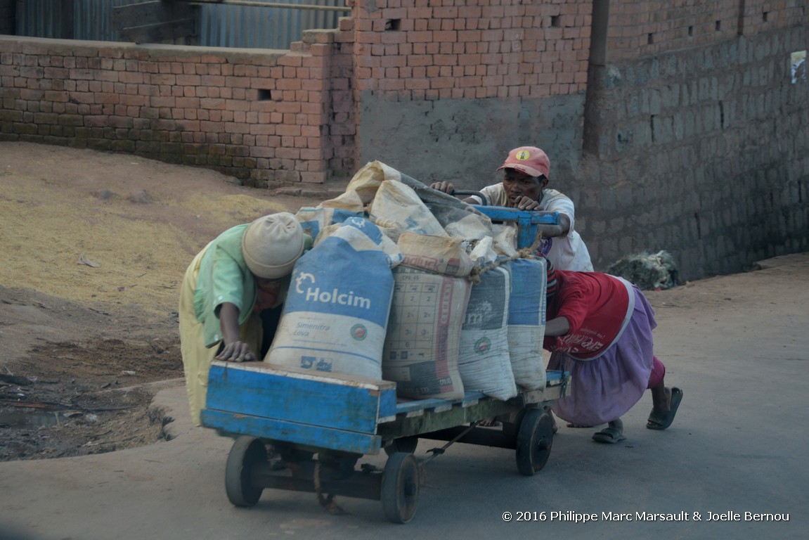 /ecran/Madagascar_2016_1331.jpg