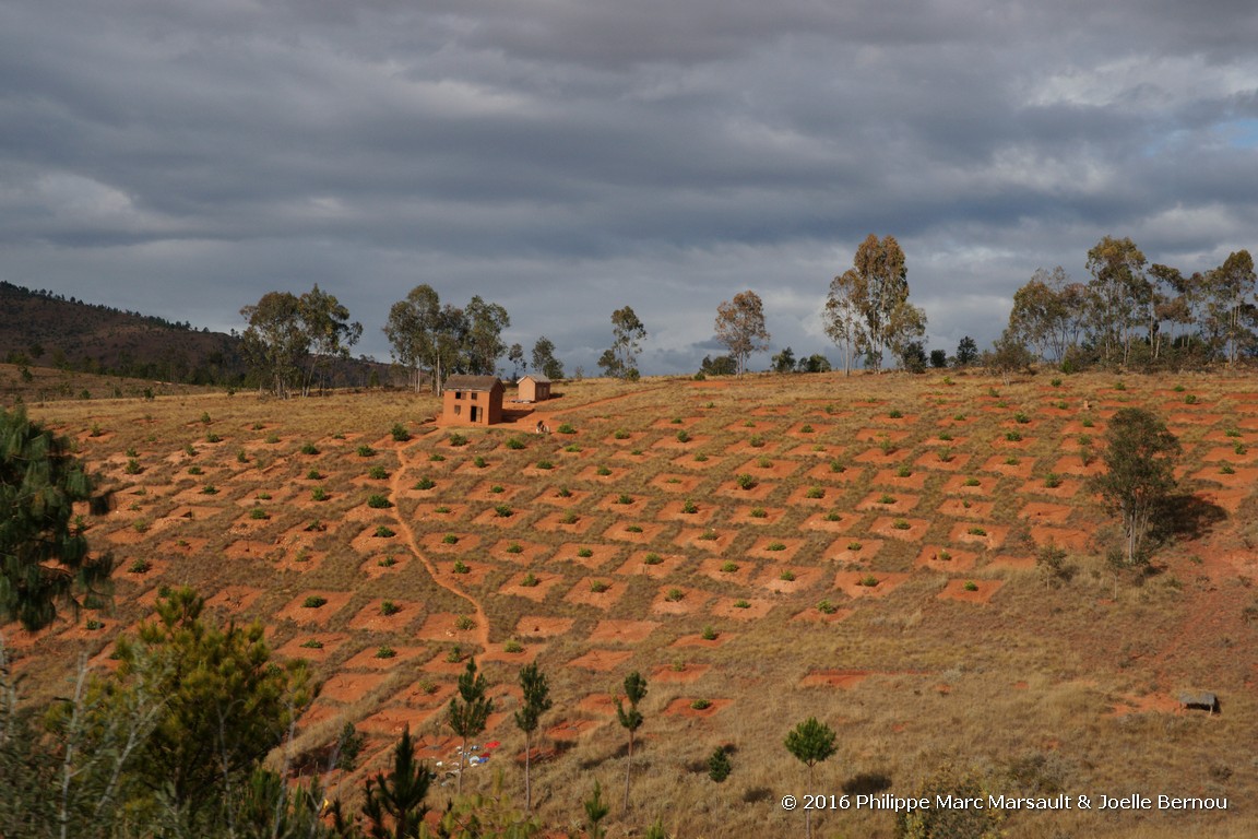 /ecran/Madagascar_2016_1432.jpg