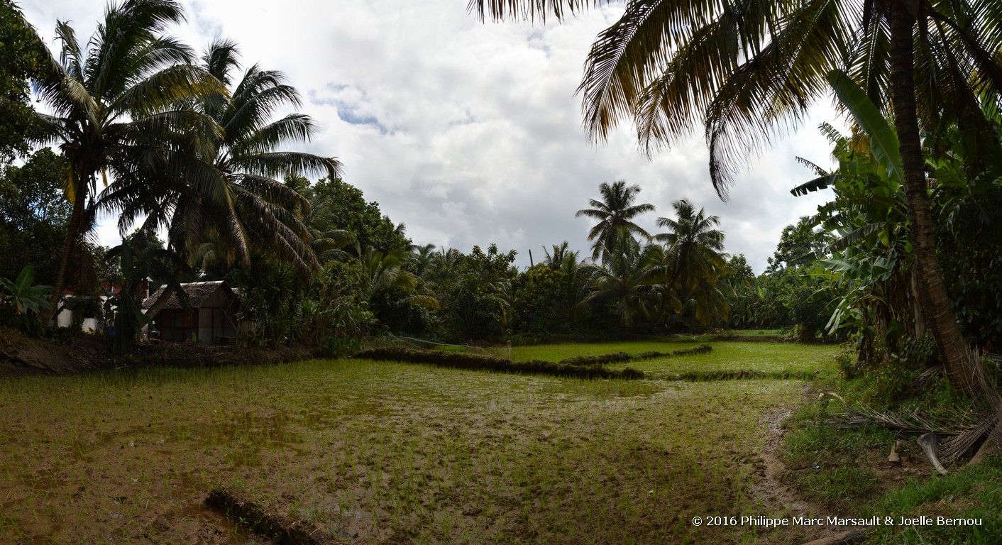 /ecran/Madagascar_2016_1562.jpg