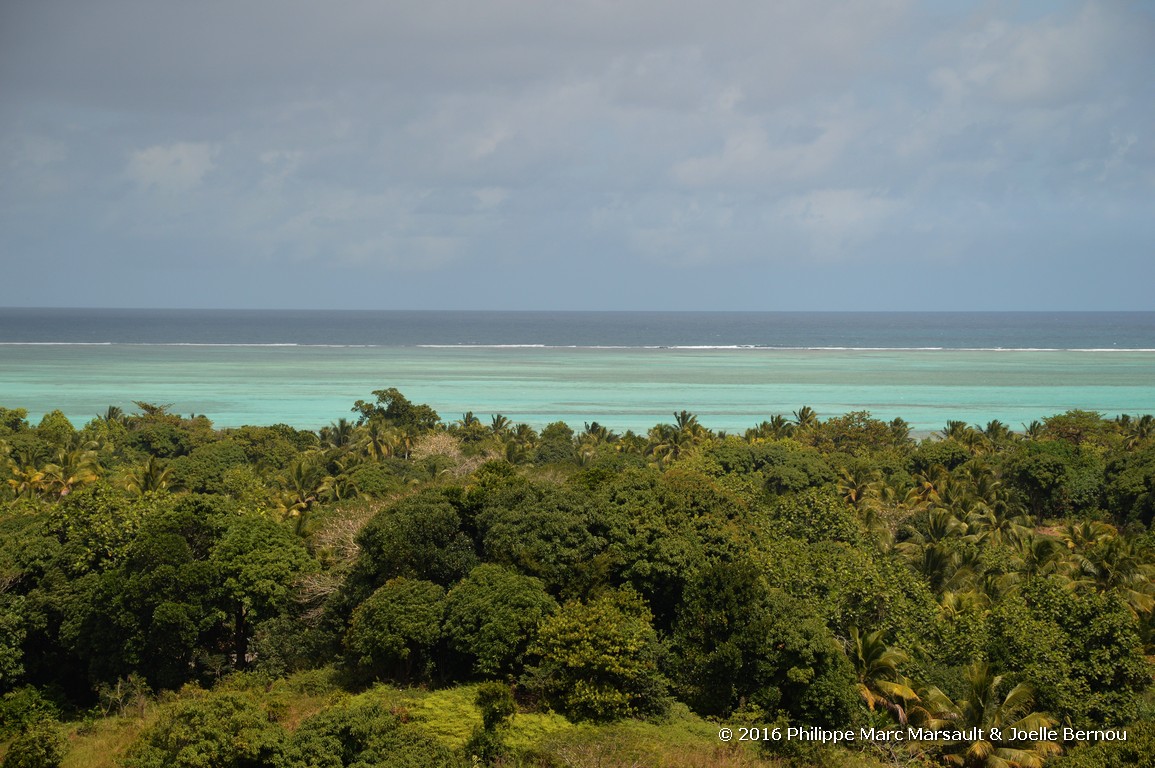 /ecran/Madagascar_2016_1591.jpg