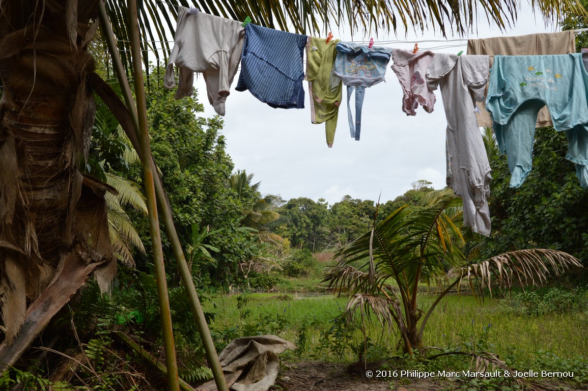 /ecran/Madagascar_2016_1600.jpg