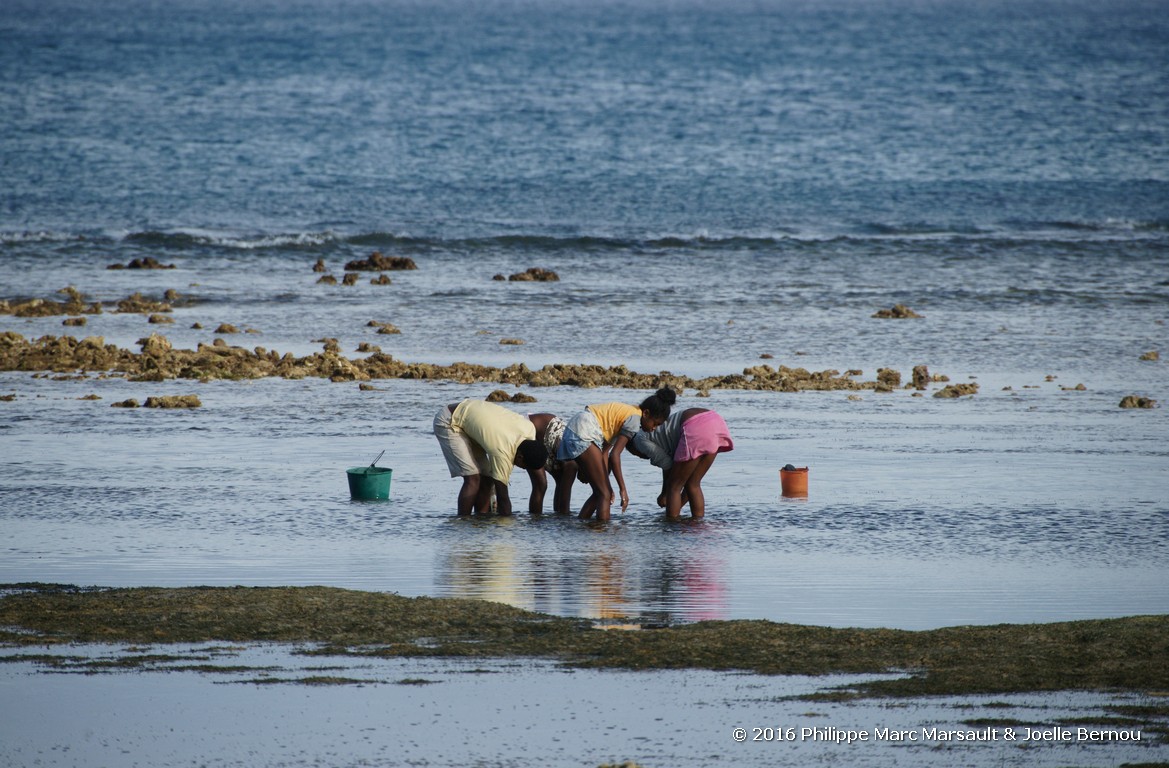 /ecran/Madagascar_2016_1635.jpg