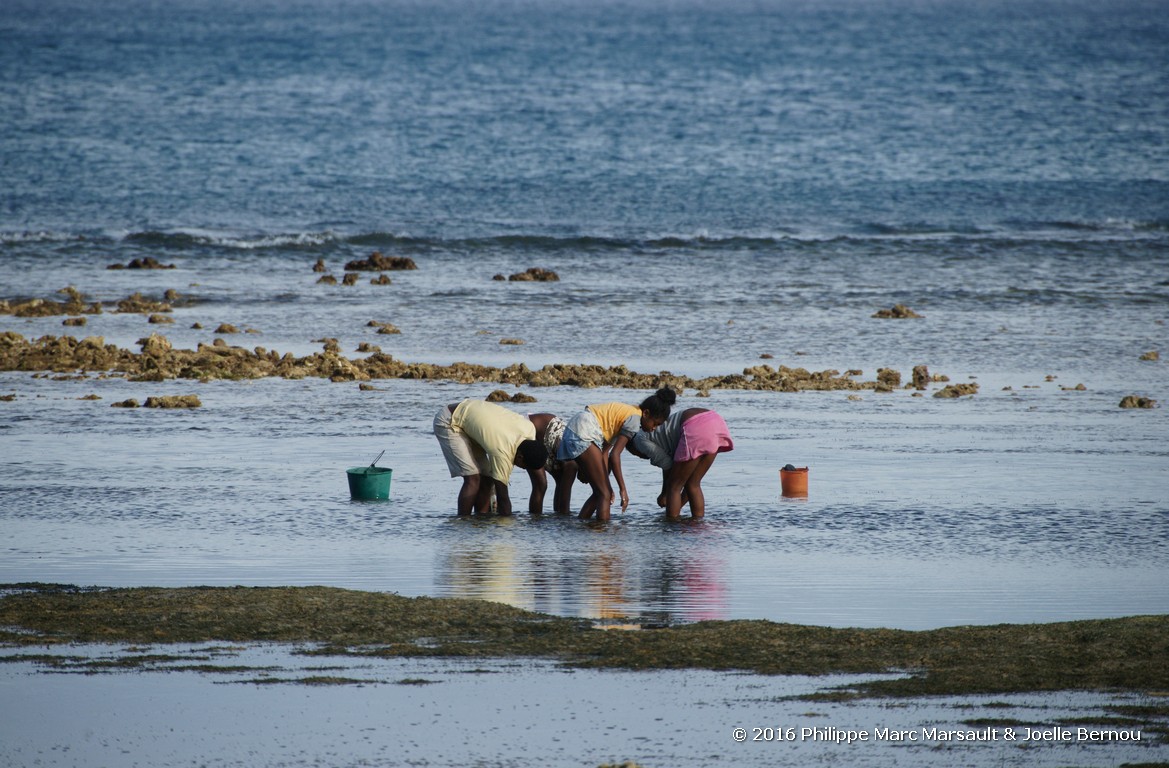 /ecran/Madagascar_2016_1635.jpg