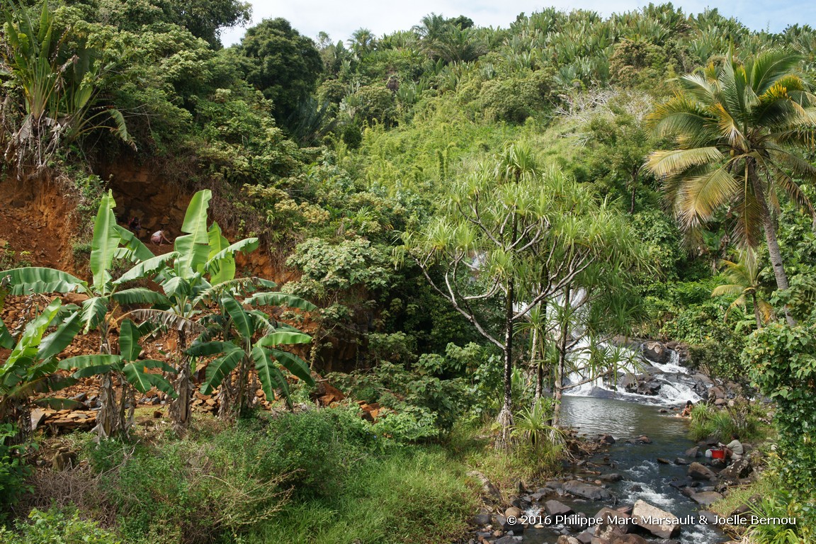 /ecran/Madagascar_2016_1651.jpg