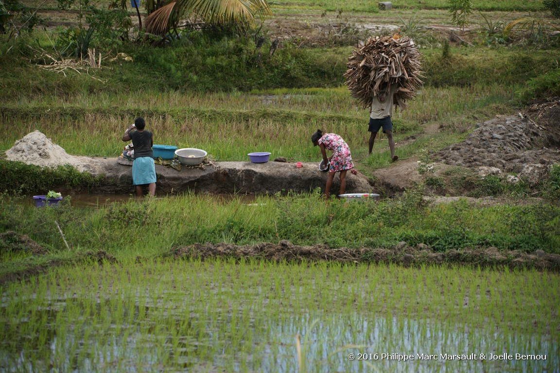 /ecran/Madagascar_2016_1875.jpg