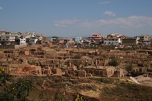 vignette Madagascar_2016_0011.jpg 