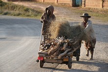 vignette Madagascar_2016_0198.jpg 