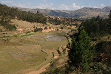 vignette Madagascar_2016_0267.jpg 