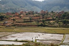 vignette Madagascar_2016_0304.jpg 