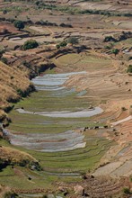 vignette Madagascar_2016_0424.jpg 