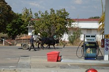 vignette Madagascar_2016_0539.jpg 