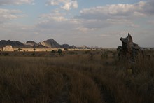 vignette Madagascar_2016_0671.jpg 