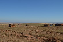 vignette Madagascar_2016_0856.jpg 