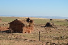 vignette Madagascar_2016_0857.jpg 