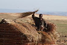 vignette Madagascar_2016_0858.jpg 