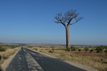 vignette Madagascar_2016_0876.jpg 