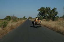 vignette Madagascar_2016_0887.jpg 