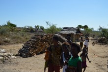 vignette Madagascar_2016_0911.jpg 