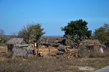 vignette Madagascar_2016_0915.jpg 