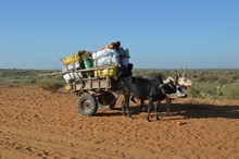 vignette Madagascar_2016_0929.jpg 