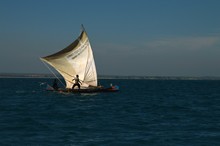 vignette Madagascar_2016_0942.jpg 