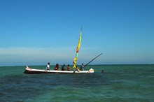 vignette Madagascar_2016_0946.jpg 