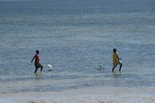 vignette Madagascar_2016_0960.jpg 