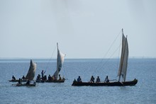 vignette Madagascar_2016_1046.jpg 