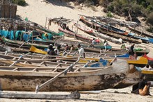 vignette Madagascar_2016_1173.jpg 