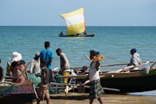 vignette Madagascar_2016_1191.jpg 