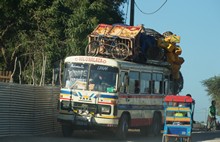 vignette Madagascar_2016_1235.jpg 